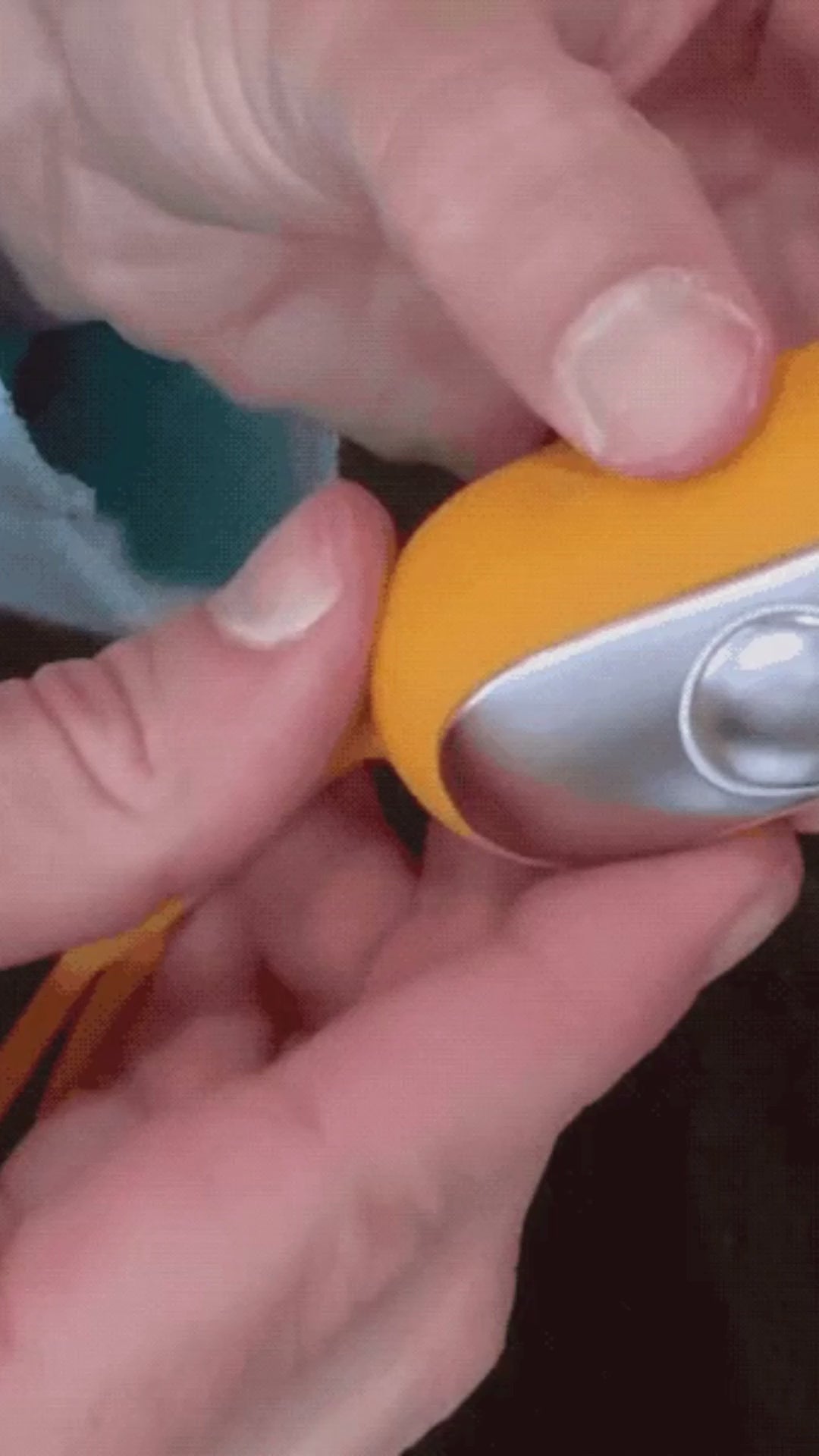 Charger la vidéo : 